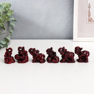 Нэцкэ фигурка «Слоны счастья», тёмно-красные, набор 6 шт., 4.5x3x4 см