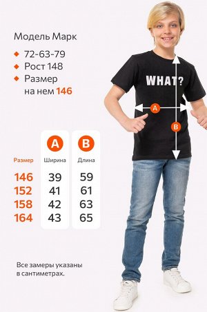 Футболка для мальчика Happyfox