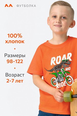 Футболка для мальчика Happyfox