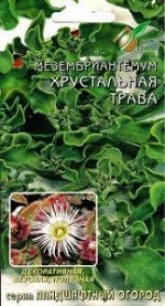 Мезембриантемум Хрустальная трава