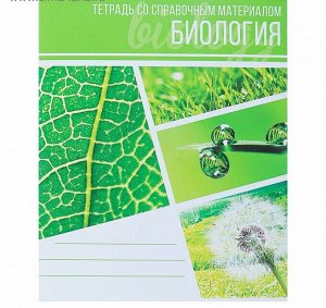 Тетрадь предметная Calligrata "Коллаж", 48 листов в клетку, со справочным материалом