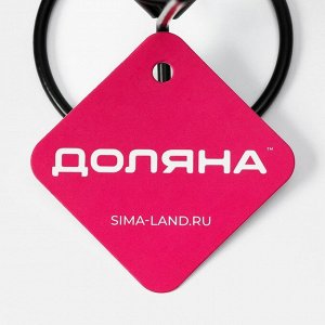 Корзинка для картофеля фри Доляна «Лукси», 10?10?14,5 см