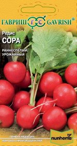 Редис Сора 0,5 г (Голландия ) Н18