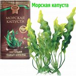 Шоколад &quot;Приморский кондитер&quot; темный с морской капустой 1/65