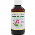 California Gold Nutrition, Umckaloabo, верхняя респираторная и иммунная поддержка, без спирта, вишневый ароматизатор, 4 мл (118