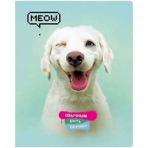 Тетрадь 48л., А5, клетка BG "Super Mix-20", 20 дизайнов