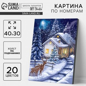Картина по номерам на новый год на холсте с подрамником «Зимняя ночь», 40x30 см
