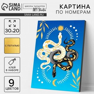 Картина по номерам на новый год «Змея день и ночь», 20x30 см, набор для творчества