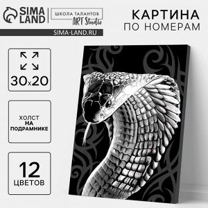 Картина по номерам на новый год «Змея кобра», 30x20 см, набор для творчества