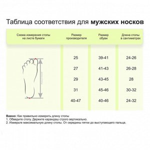 Размерная сетка