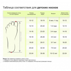 Размерная сетка