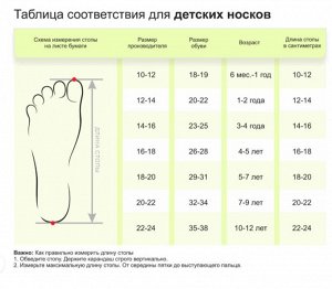 Размерная сетка