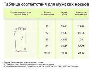 Размерная сетка