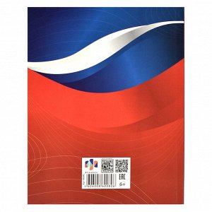 Дневник российского школьника, А5+, 48 л, интегральный переплёт, конгрев, выборочный УФ-лак, матовая ламинация