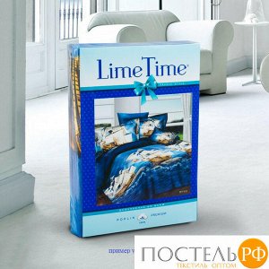 2 сп Евро, 70*70 см КПБ Lime Time поплин рис. Азимут