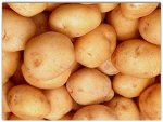 Картофель Адретта среднеспелый, желтый 1уп