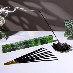 Aljenda Благовония &quot;Очарование востока Сосна&quot;, 20 палочек в упаковке