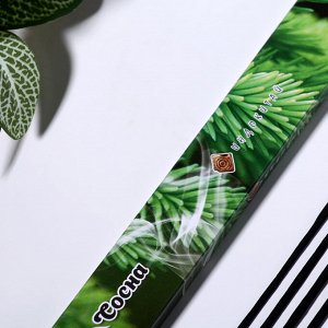 Aljenda Благовония &quot;Очарование востока Сосна&quot;, 20 палочек в упаковке