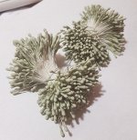 Тычинки двухсторонние пучок