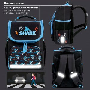 Ранец ПИФАГОР BASIC, 1 отделение, 3 кармана, эргономичная спинка, "Angry shark", 35х28х18 см, 272044