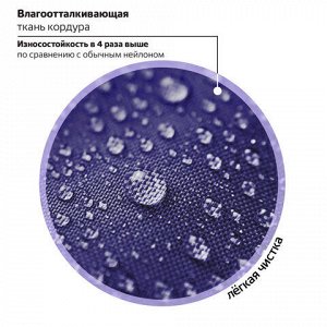Ранец BRAUBERG PREMIUM, 2 отделения, с брелоком, "Anime cat", 38х29х16 см, 272017