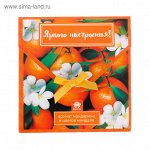 Аромасаше в почтовом конверте &quot;Яркого настроения!&quot; с ароматом мандарина и цветов миндаля