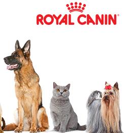 Кот и Пёс-8. Корм Royal Canin и лучшие наполнители