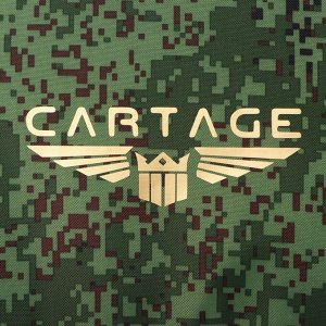 Термосумка Cartage Т-19, камуфляж пиксель, 10 л, 26x19x19 см