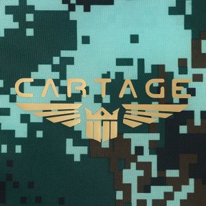 Термосумка Cartage Т-19, камуфляж пиксель, 10 л, 26x19x19 см