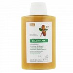 Klorane Nourishing and Repairing Shampoo with Desert Datte-Palm