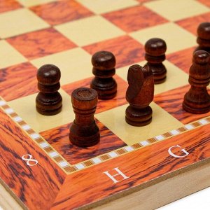 Шахматы, шашки, нарды, настольные игры, набор 3 в 1, 34 х 34 см