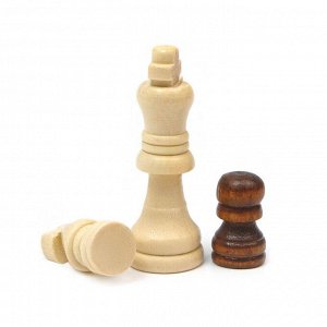 Шахматы, шашки, нарды, настольные игры, набор 3 в 1, 34 х 34 см