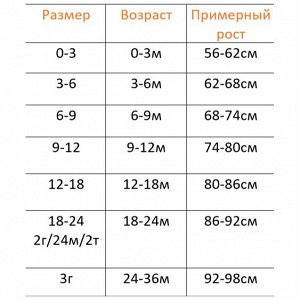 Размерная сетка