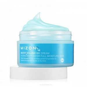 Mizon Water Volume EX Cream - Увлажняющий крем с маслом моринги