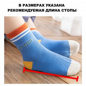 Размерная сетка