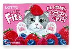 Резинка жевательная FIT`S Funny&amp;Berry ягодная, Lotte, 24.6 г, 1/10/200