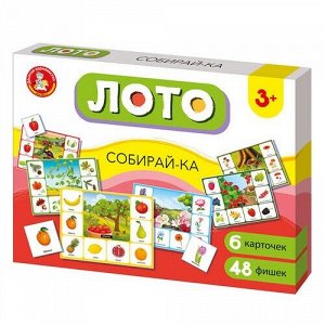 Лото Лето Собирайка большое 05522