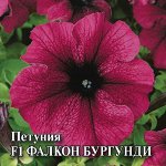 Петуния Фалкон Бургунди F1 крупноцв. 100 шт.пробирка сер. Профи 2027 г.