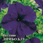 Петуния Лимбо Блу крупноцв. 100 шт.* сер. Профи 2027 г.