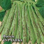 Фасоль Турчанка 100,0 г 2027 г.