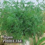 Укроп Ришелье 100,0 г 2027 г.