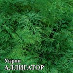 Укроп Аллигатор 50,0 г 2028 г.