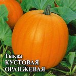 Тыква Кустовая оранжевая 100 г