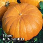 Семена овощей для фермеров