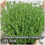 Тимьян ползучий (чабрец) Медок 5,0 г