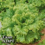 Салат Азарт 10,0 г (листовой)