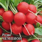 Редис Чемпион 50,0 г 2027 г.