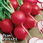 Редис Ричард 25,0 г Н23 2027 г.