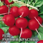 Редис Ранний красный 50,0 г 2027 г.