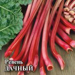 Ревень Дачный 60,0 г 2027 г.